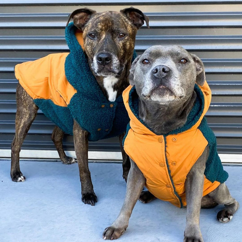 Green and Orange Reversible Jacket