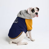 Dog Varsity Jacket - Blue Yellow