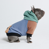 Alpine Dog Hoodie