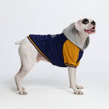 Dog Varsity Jacket - Blue Yellow