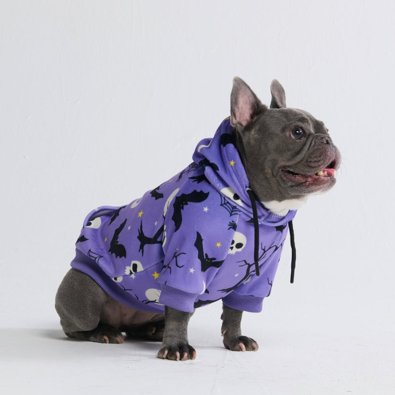 Halloween Dog Hoodie - Purple