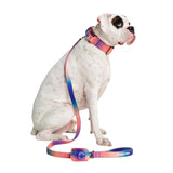 Leash and Poop Bag Holder Set - Kaleidoscope