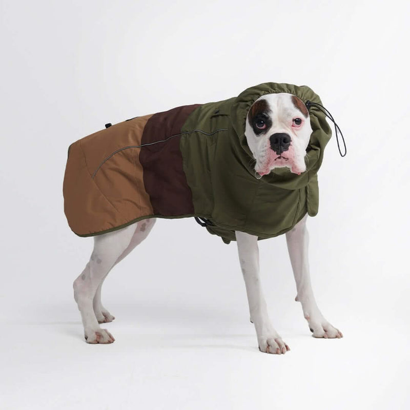 Dog Raincoat - Green Brown