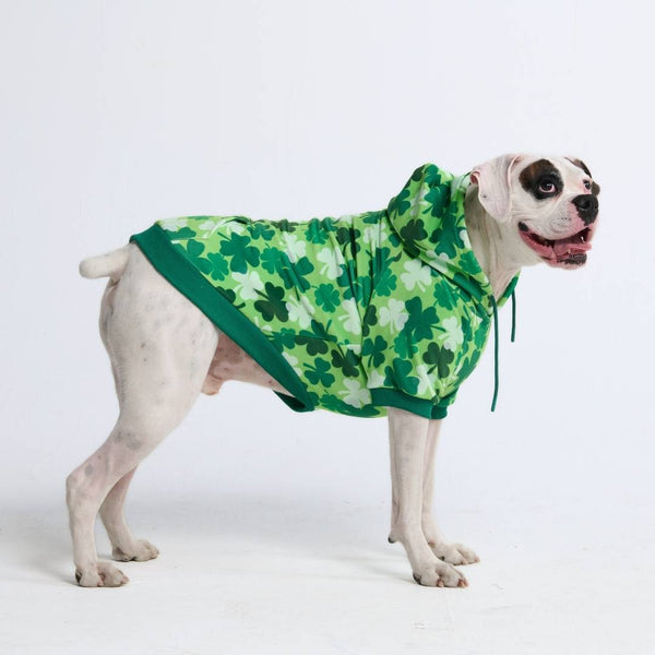 St. Patty's Dog Hoodie - Shamrocks