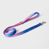 Leash and Poop Bag Holder Set - Snow Cone