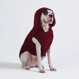 Jaqueta Teddy Sherpa Dog - Marrom